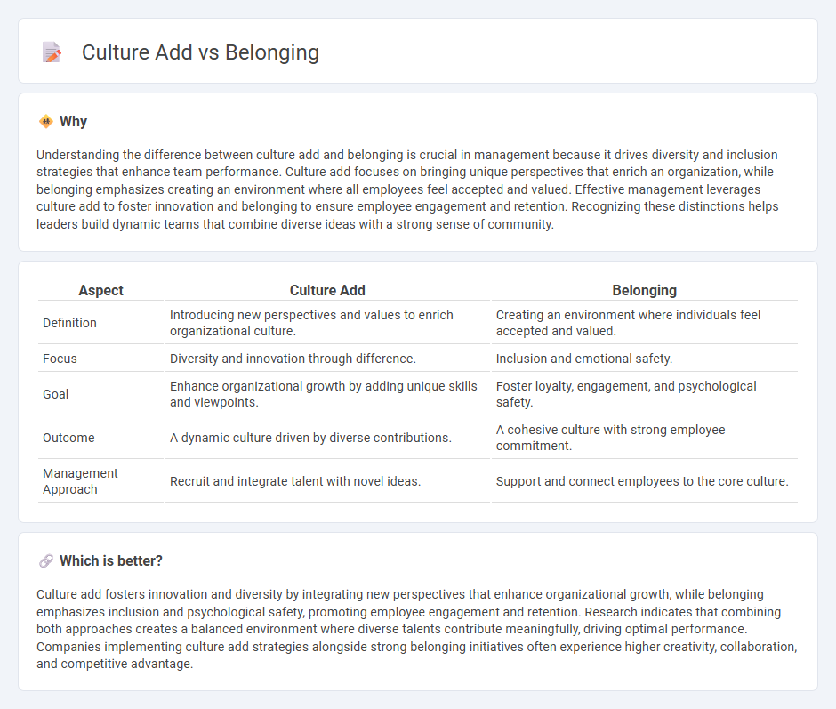 Culture Add vs Belonging in Management