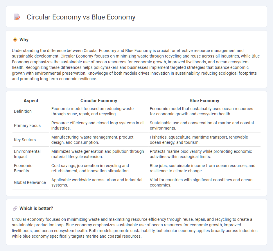 Circular Economy vs Blue Economy in Economy