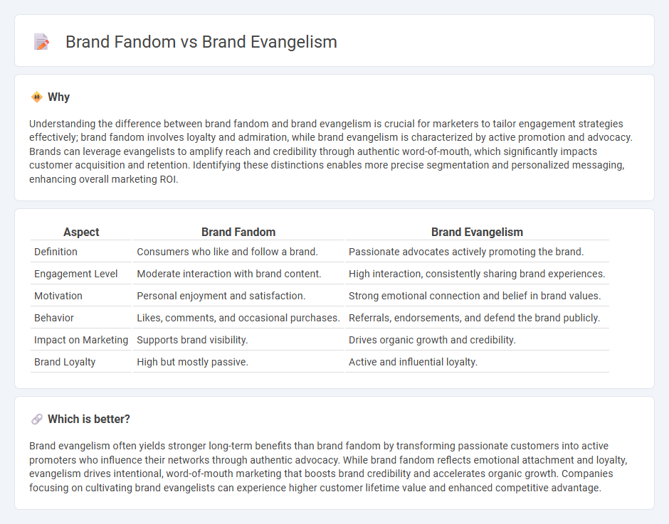 Brand Fandom vs Brand Evangelism in Marketing