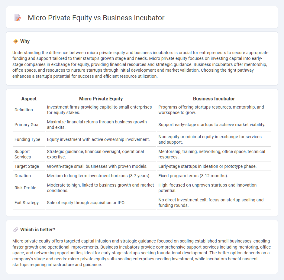Micro Private Equity vs Business Incubator in Entrepreneurship