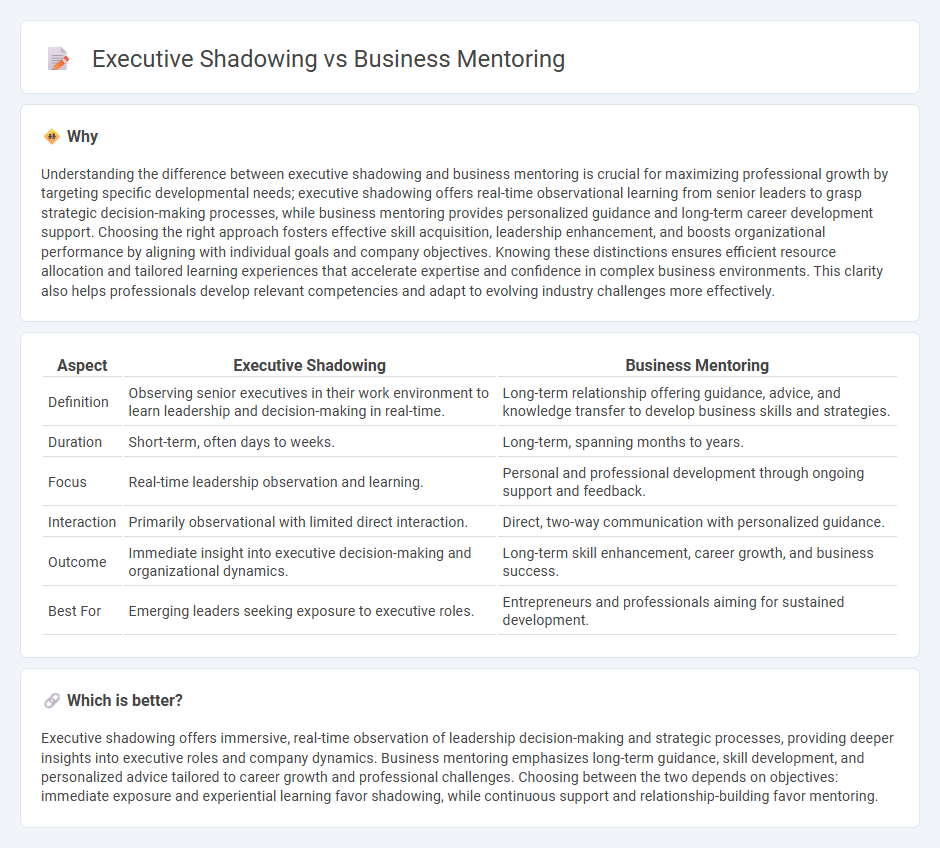 Executive Shadowing vs Business Mentoring in Consulting
