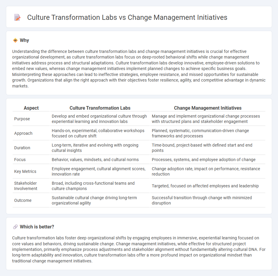 Culture Transformation Labs vs Change Management Initiatives in Consulting