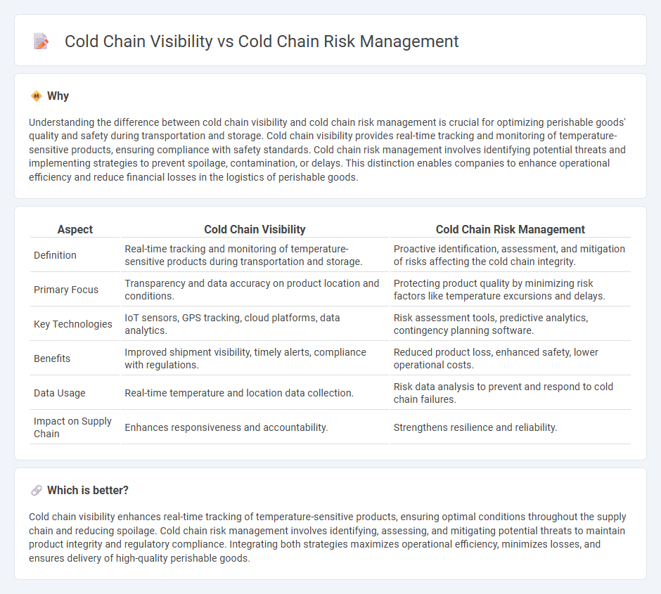Cold Chain Visibility vs Cold Chain Risk Management in Logistics