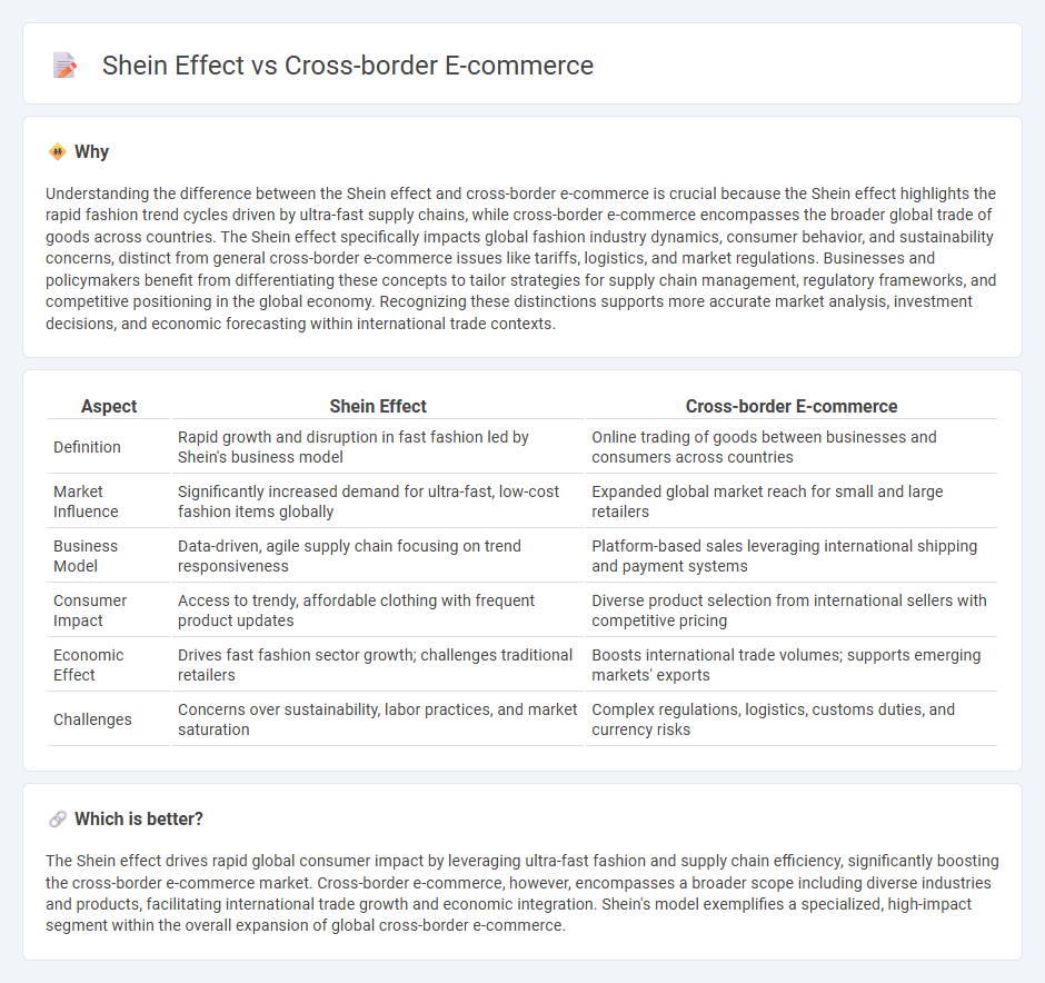 Shein Effect vs Cross-Border E-Commerce in Economy