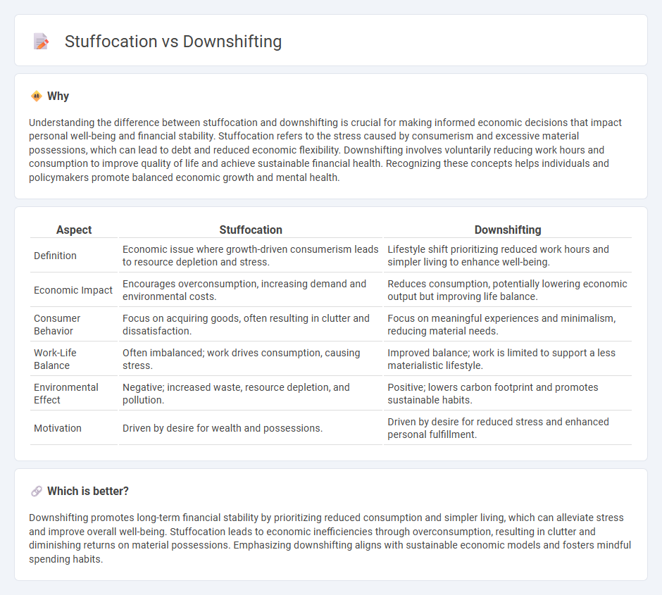 Stuffocation vs Downshifting in Economy