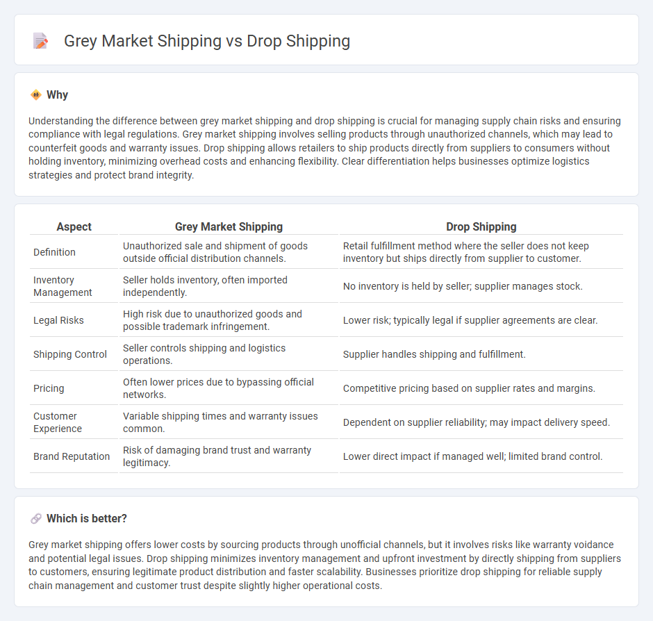 Grey Market Shipping vs Drop Shipping in Logistics