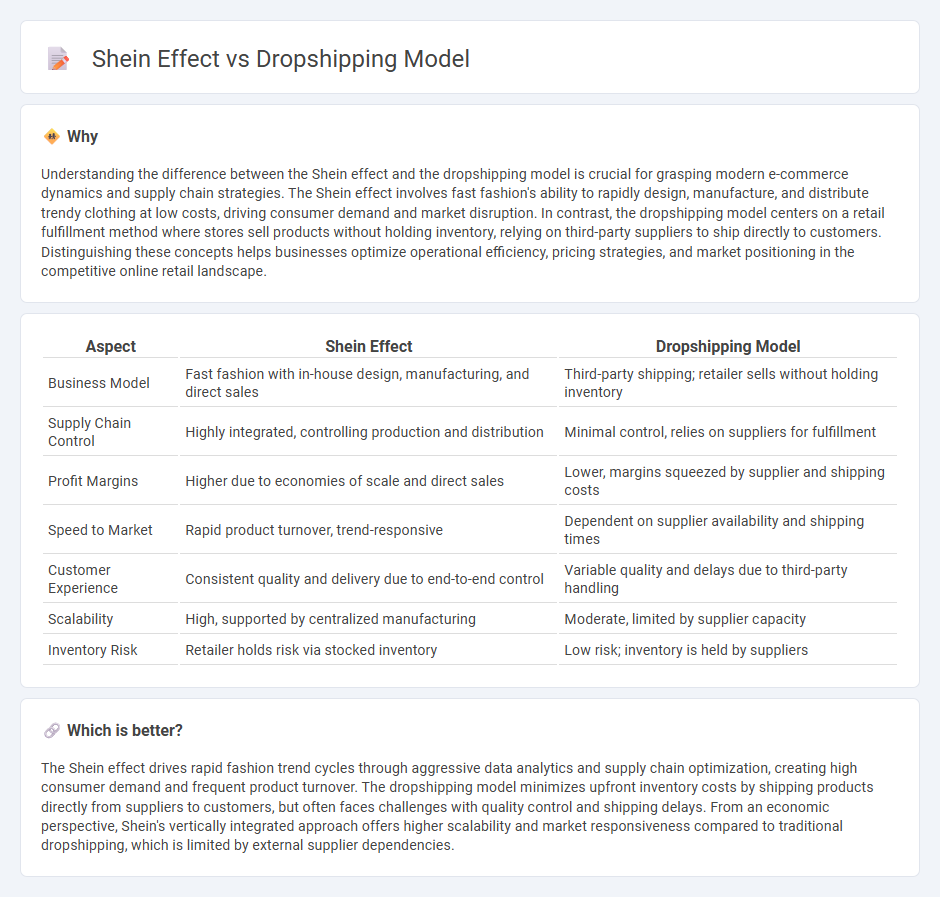 Shein Effect vs Dropshipping Model in Economy