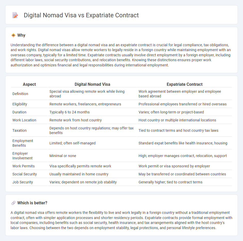 Digital Nomad Visa vs Expatriate Contract in Employment