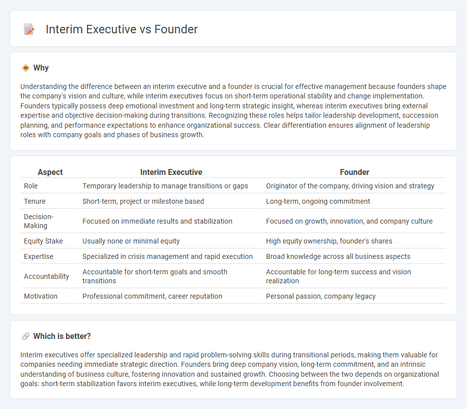 Interim Executive vs Founder in Management