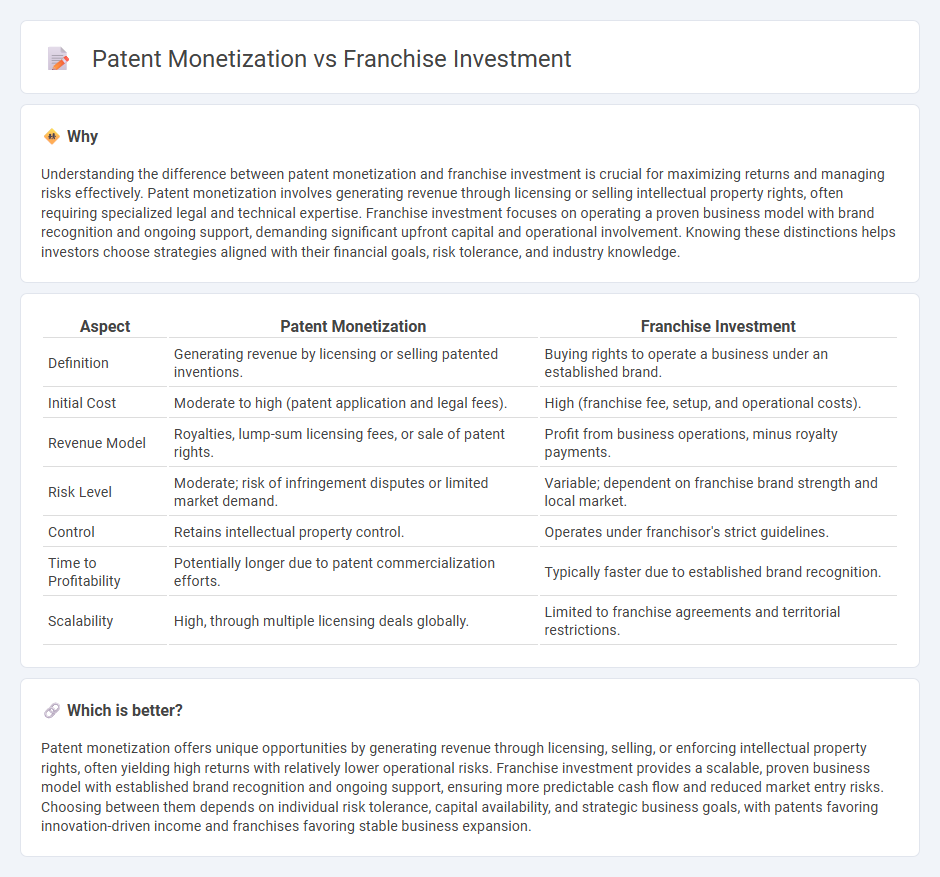 Patent Monetization vs Franchise Investment in Investment