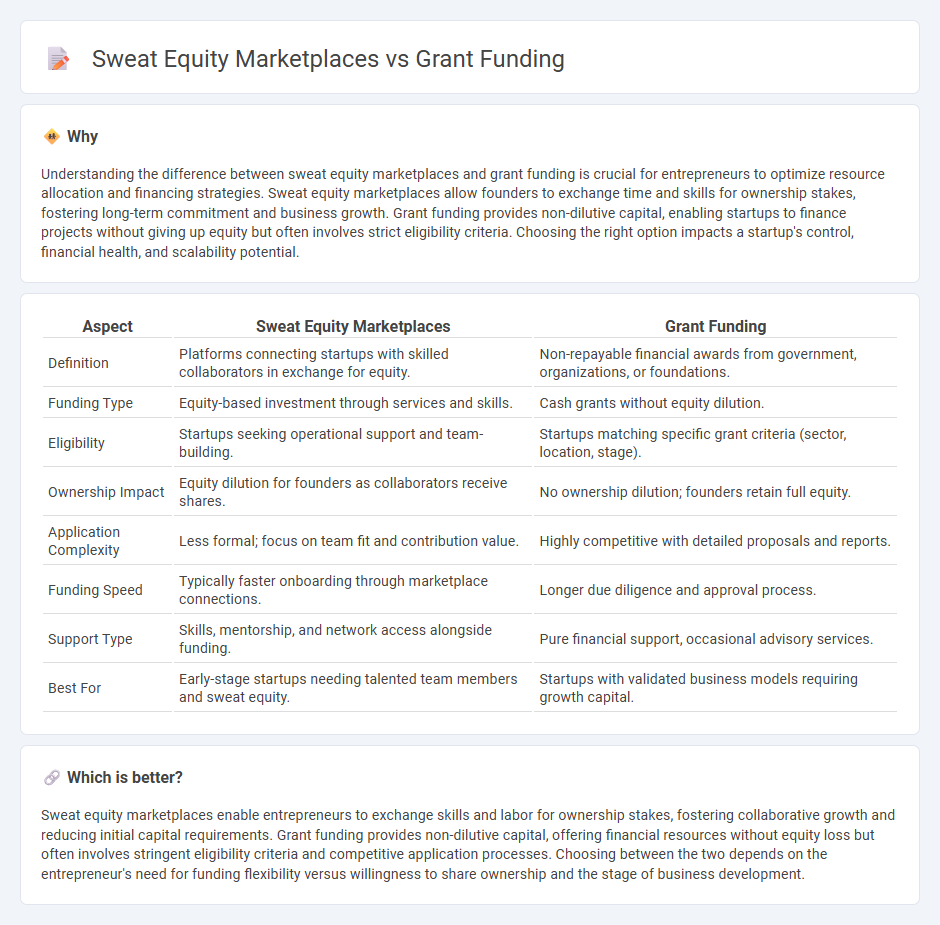 Sweat Equity Marketplaces vs Grant Funding in Entrepreneurship