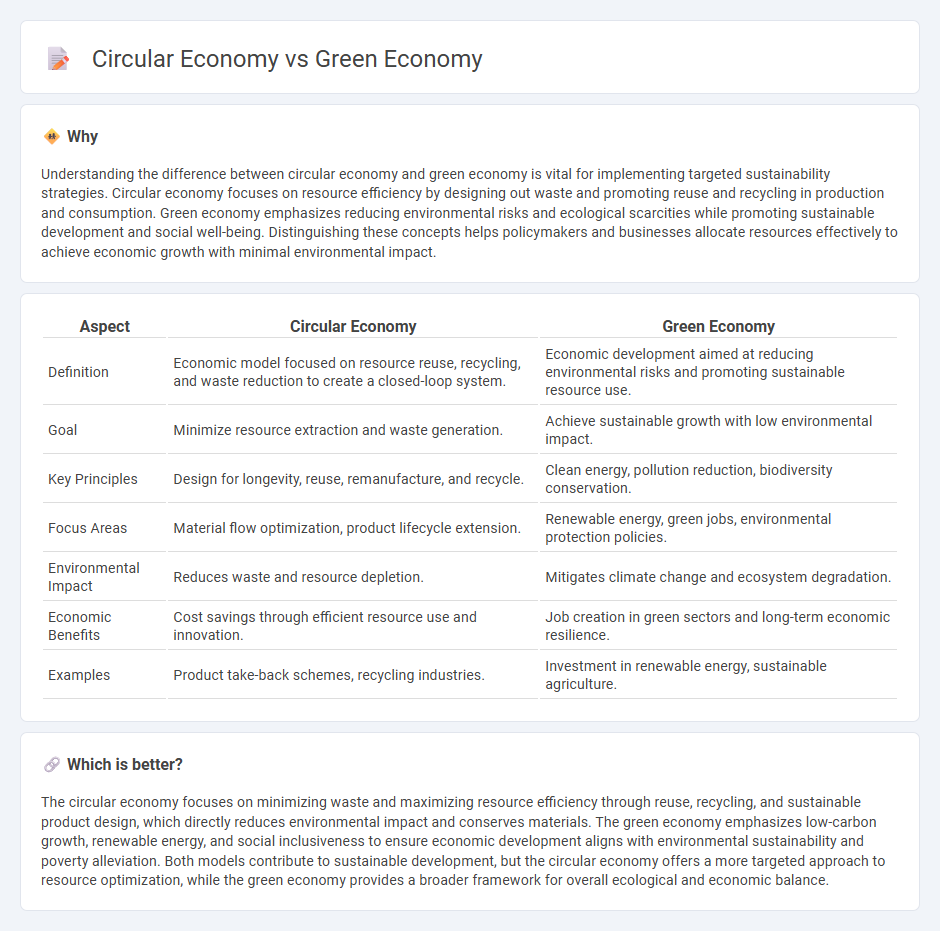 Circular Economy vs Green Economy in Economy