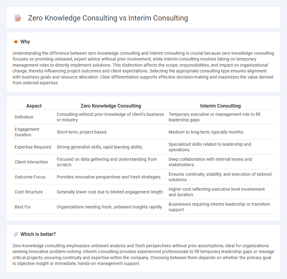 Zero Knowledge Consulting vs Interim Consulting in Consulting