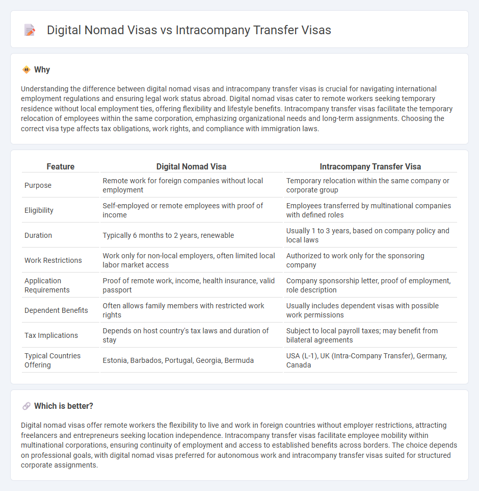 Digital Nomad Visas vs Intracompany Transfer Visas in Employment