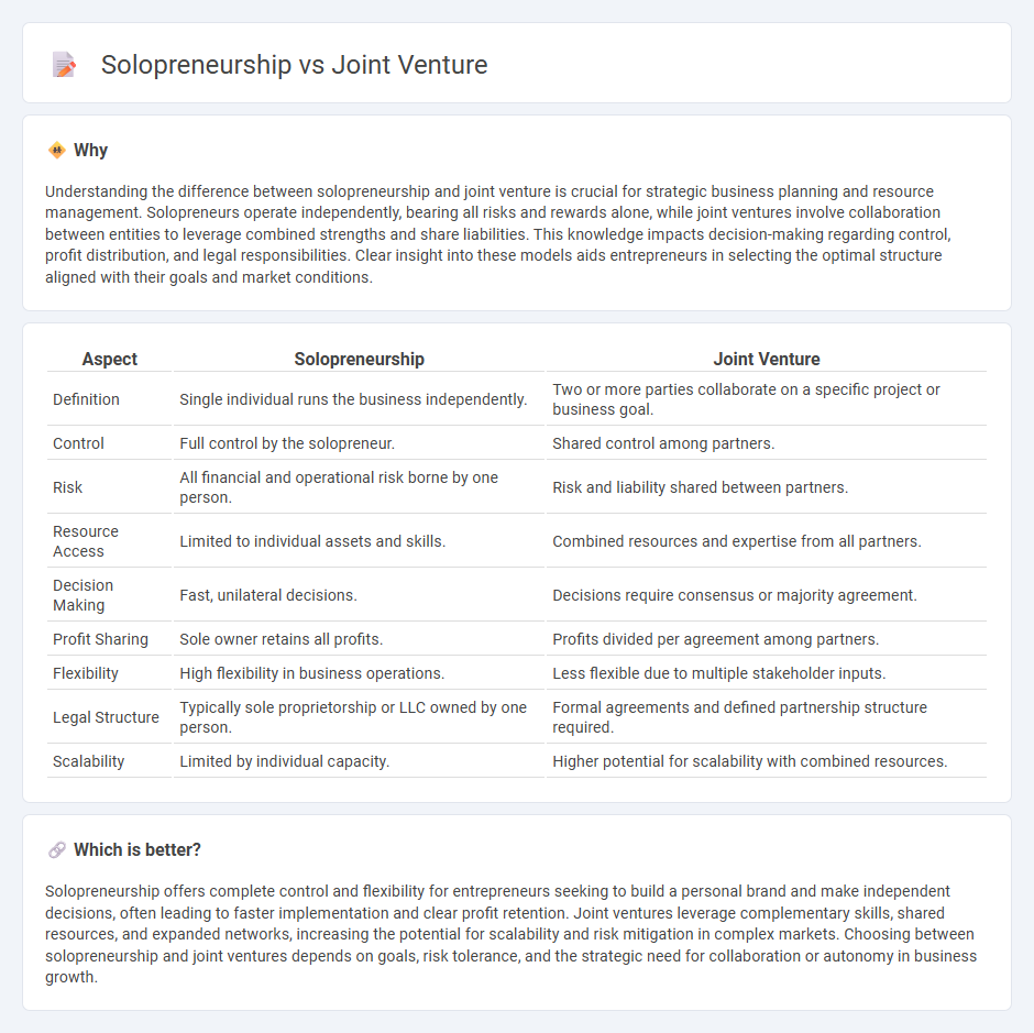 Solopreneurship vs Joint Venture in Entrepreneurship