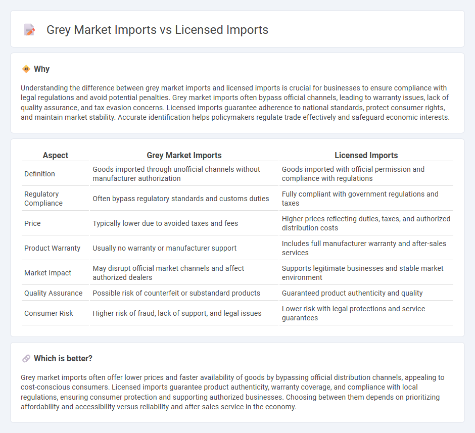 Grey Market Imports vs Licensed Imports in Economy