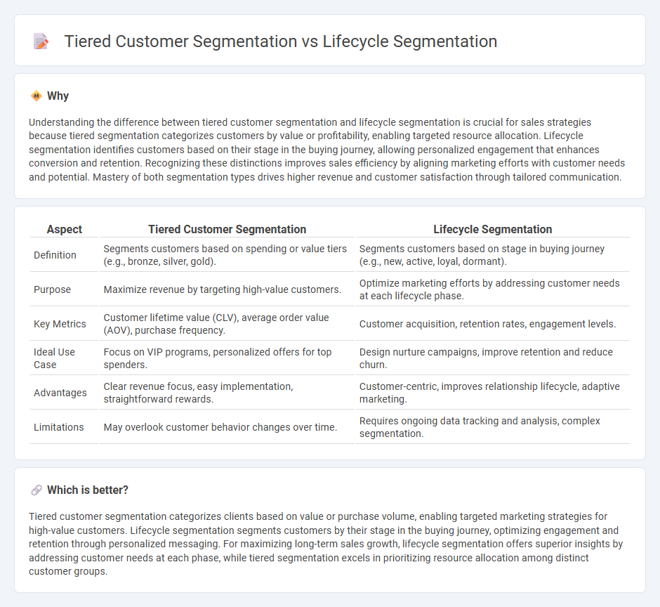 Tiered Customer Segmentation vs Lifecycle Segmentation in Sales