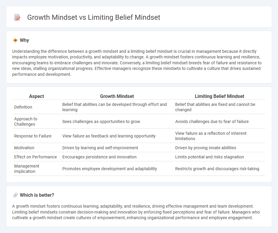 Growth Mindset vs Limiting Belief Mindset in Management