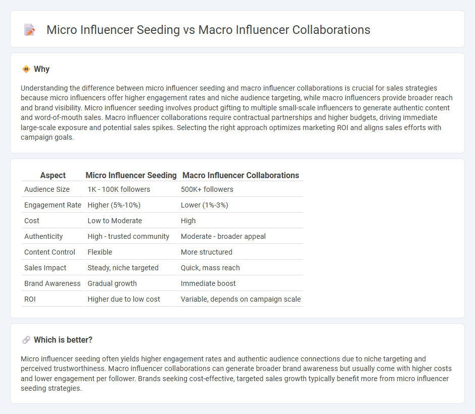 Micro Influencer Seeding vs Macro Influencer Collaborations in Sales
