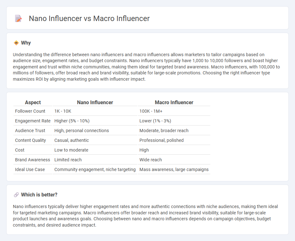 Nano Influencer vs Macro Influencer in Marketing