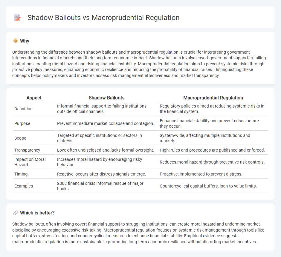 Shadow Bailouts vs Macroprudential Regulation in Economy