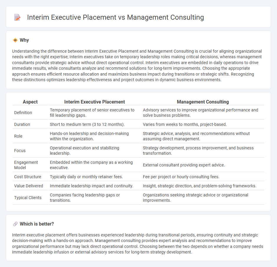 Interim Executive Placement vs Management Consulting in Consulting