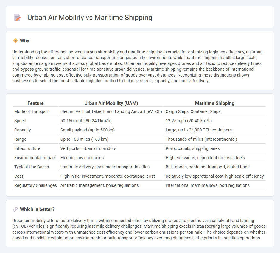 Urban Air Mobility vs Maritime Shipping in Logistics
