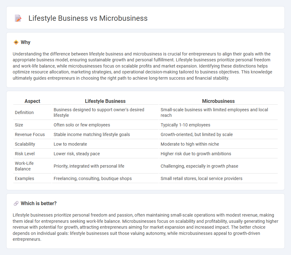Lifestyle Business vs Microbusiness in Entrepreneurship