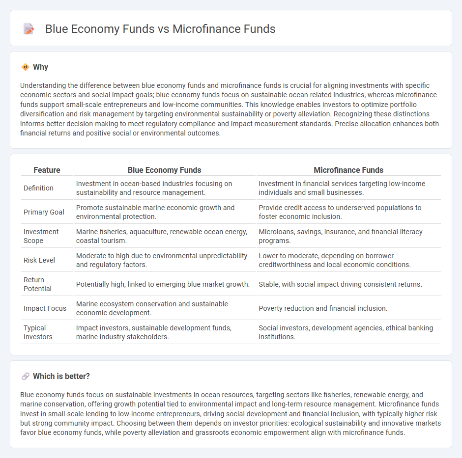 Blue Economy Funds vs Microfinance Funds in Investment