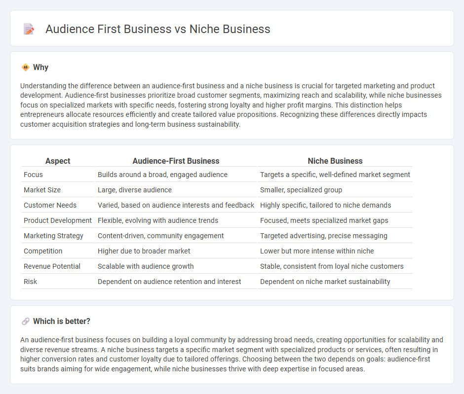 Audience First Business vs Niche Business in Entrepreneurship