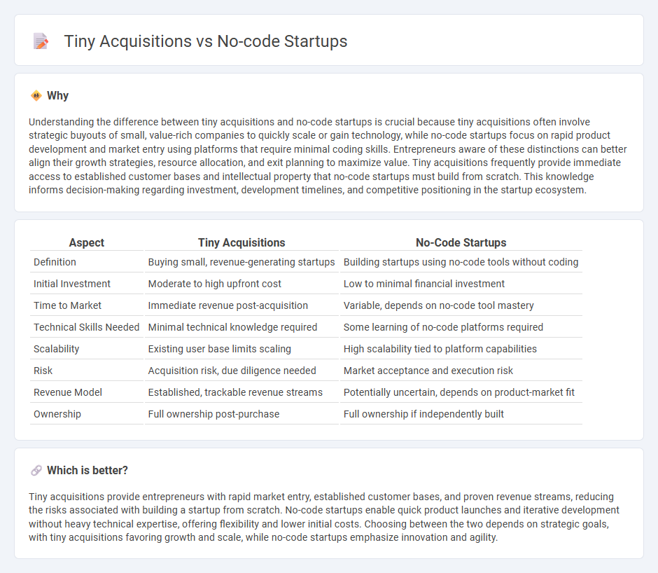 Tiny Acquisitions vs No-Code Startups in Entrepreneurship