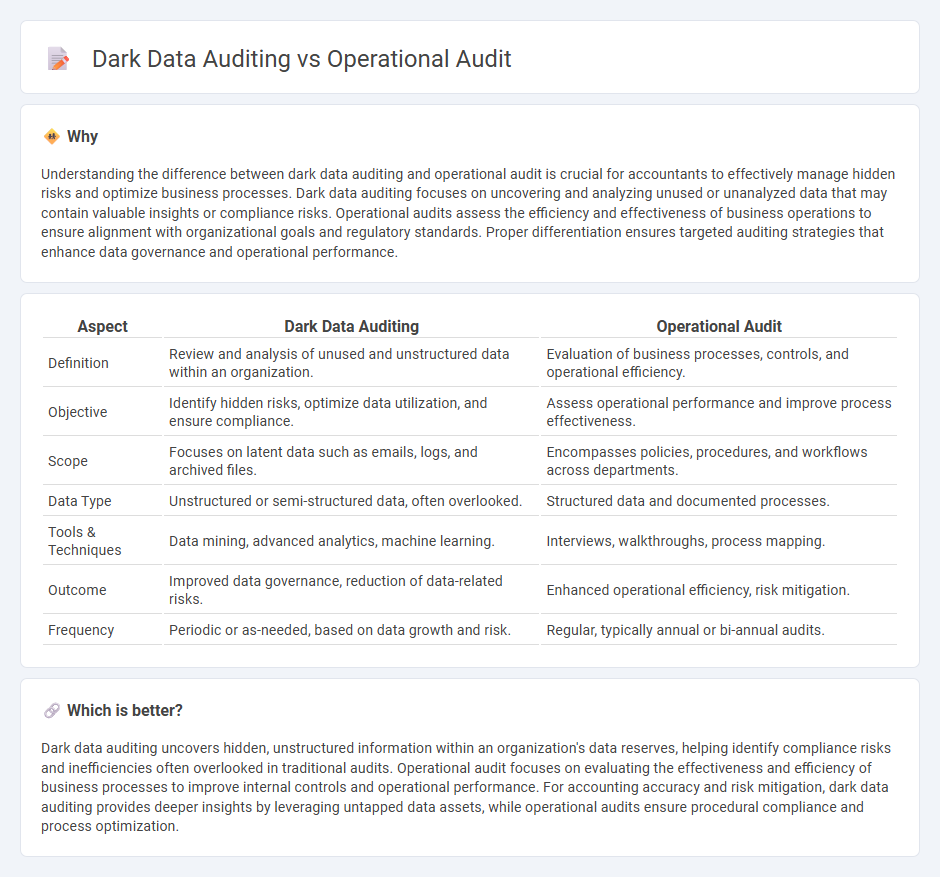 Dark Data Auditing vs Operational Audit in Accounting