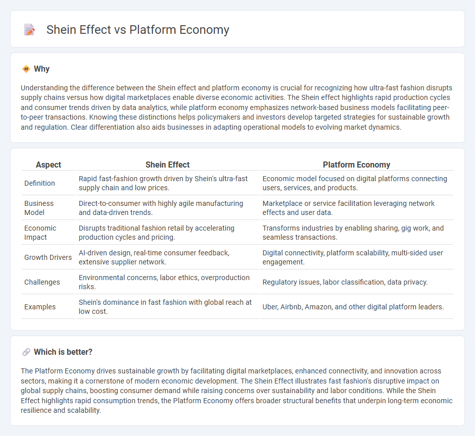 Shein Effect vs Platform Economy in Economy