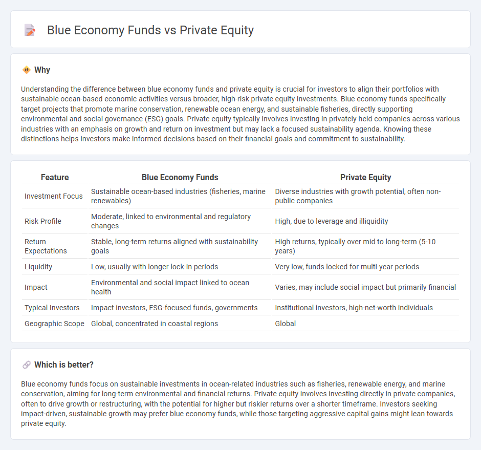 Blue Economy Funds vs Private Equity in Investment