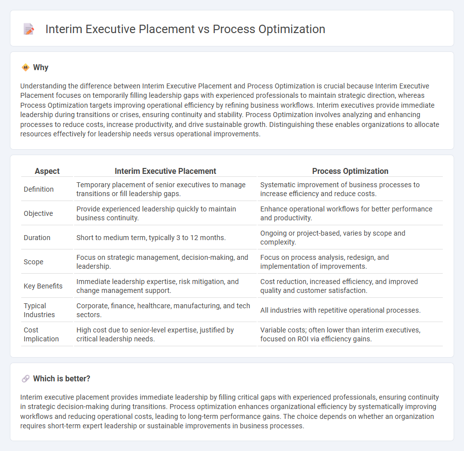 Interim Executive Placement vs Process Optimization in Consulting