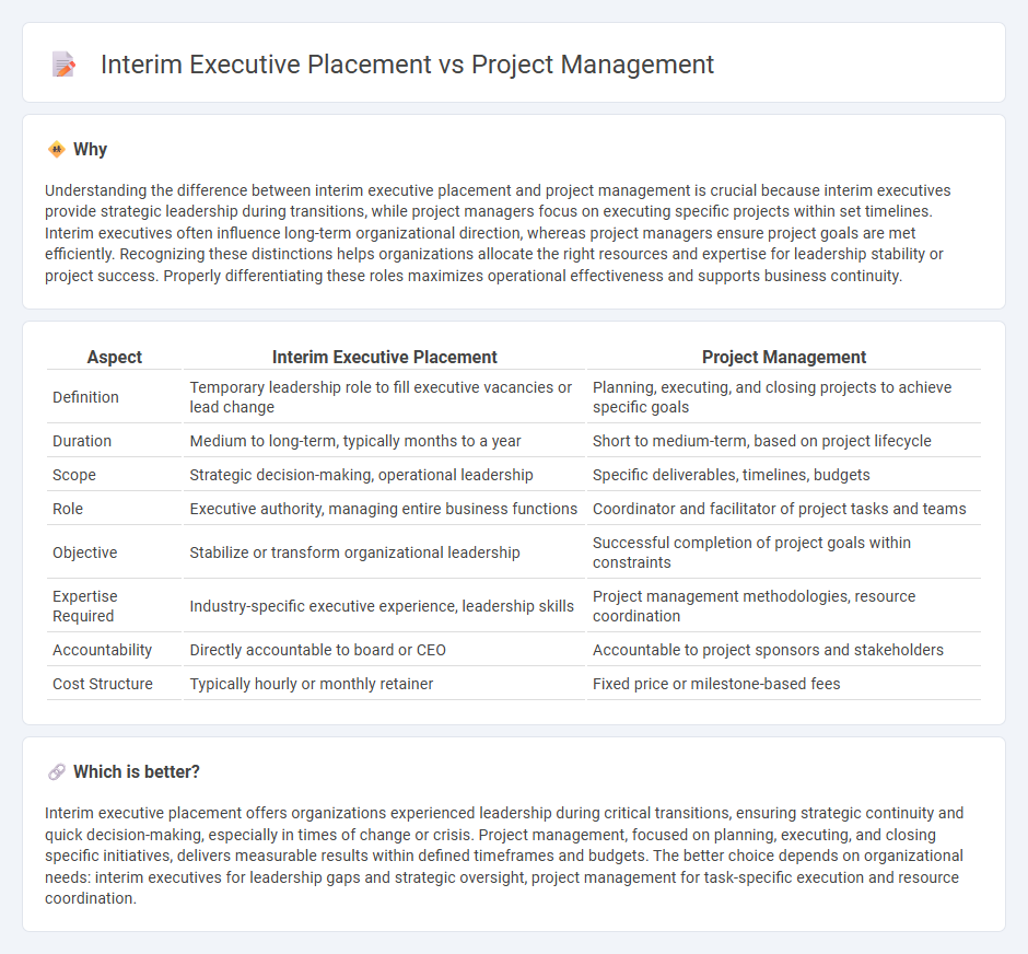 Interim Executive Placement vs Project Management in Consulting