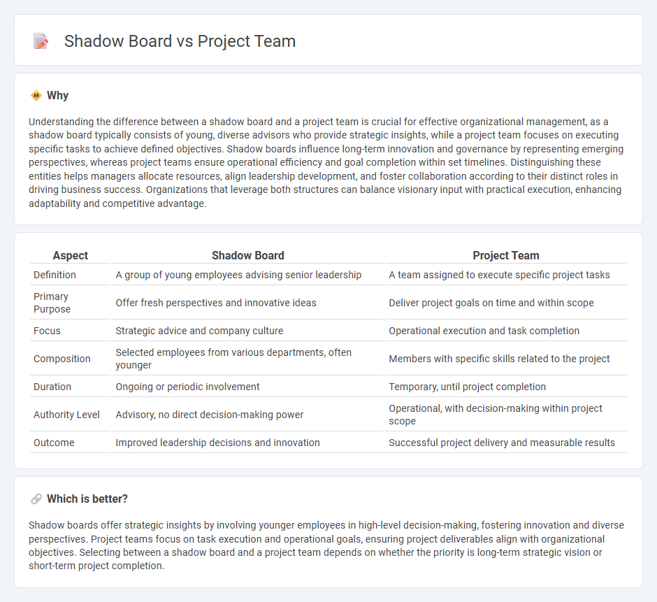 Shadow Board vs Project Team in Management