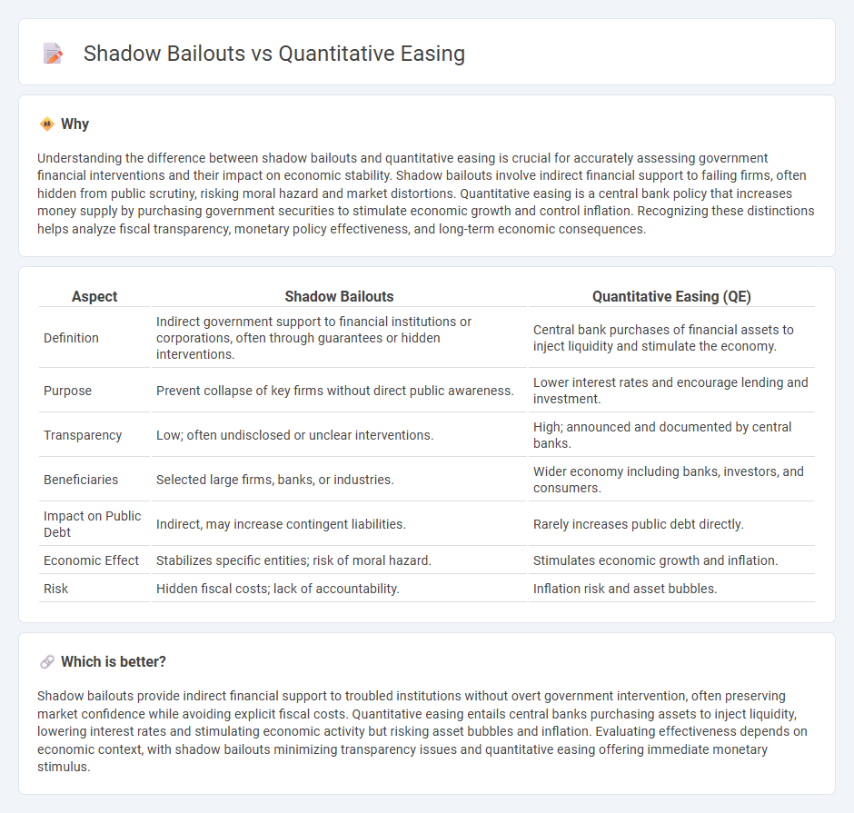 Shadow Bailouts vs Quantitative Easing in Economy