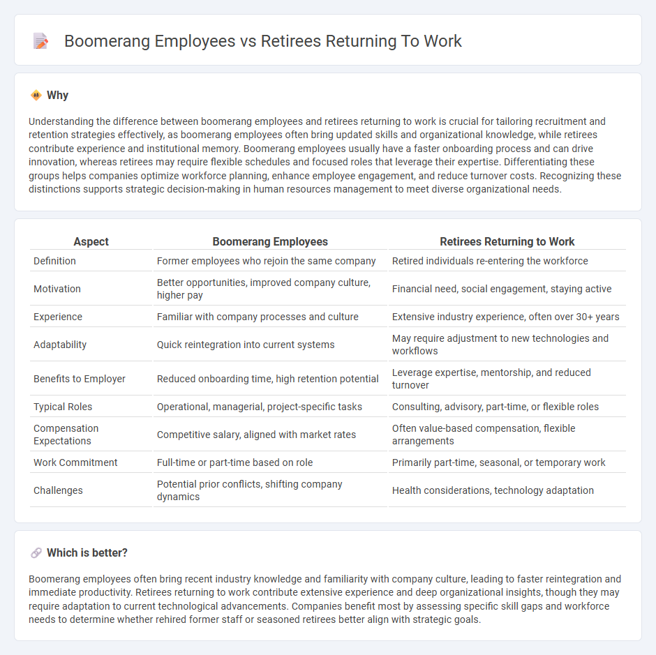Boomerang Employees vs Retirees Returning To Work in Employment