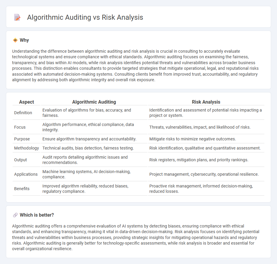 Algorithmic Auditing vs Risk Analysis in Consulting