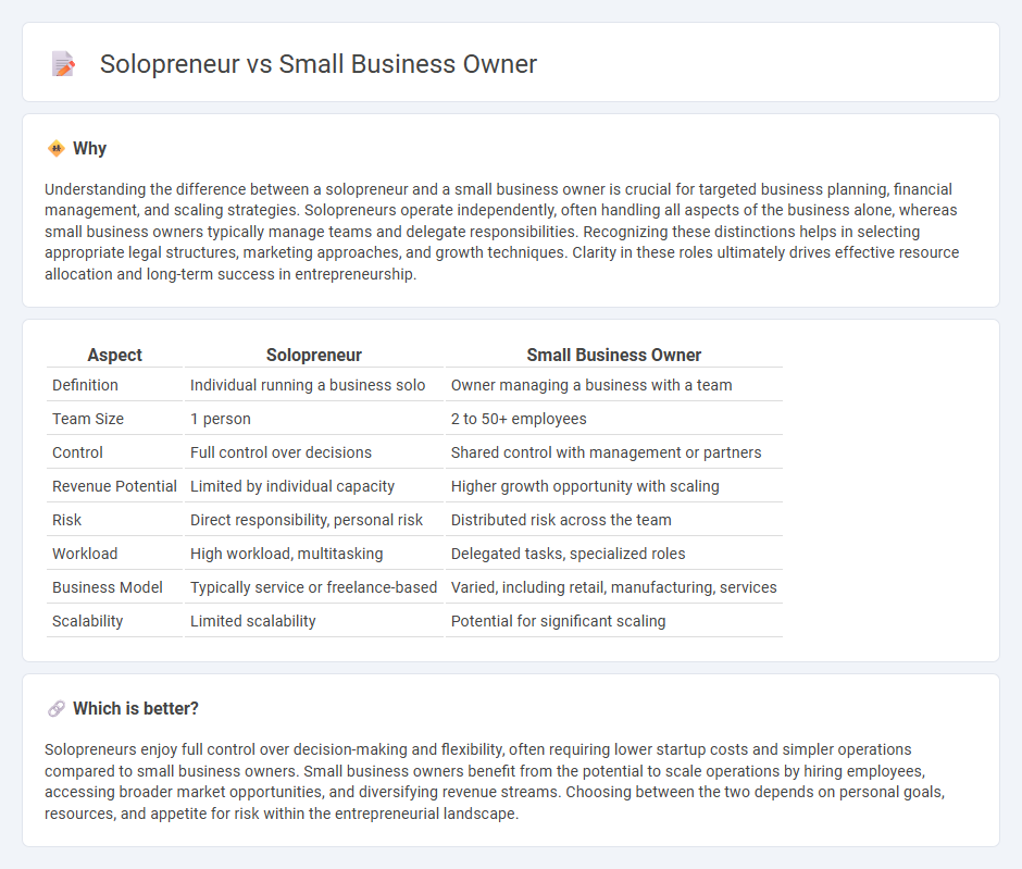 Solopreneur vs Small Business Owner in Entrepreneurship
