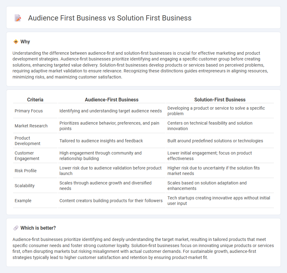 Audience First Business vs Solution First Business in Entrepreneurship