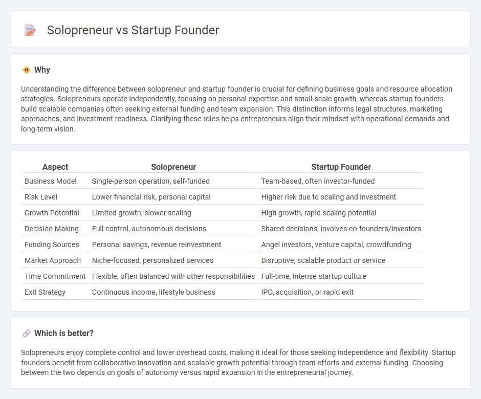 Solopreneur vs Startup Founder in Entrepreneurship
