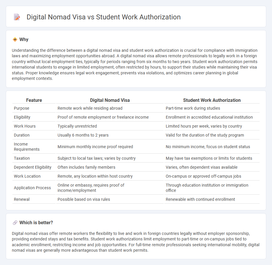 Digital Nomad Visa vs Student Work Authorization in Employment