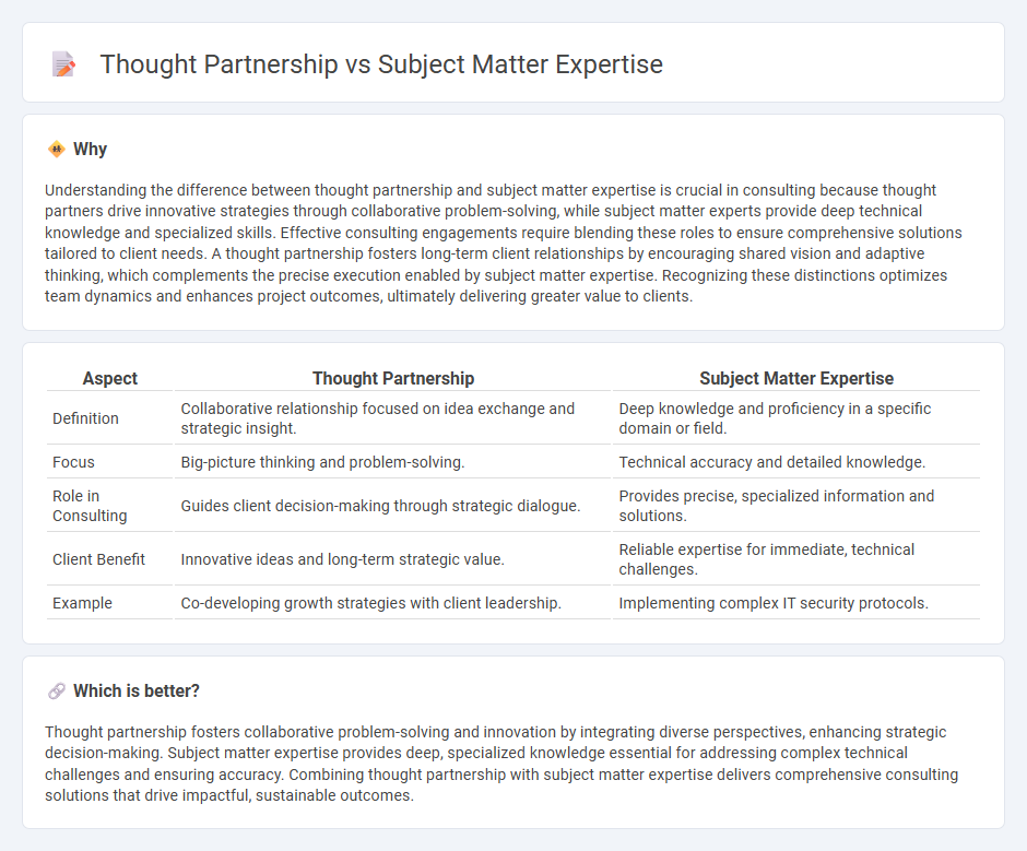 Thought Partnership vs Subject Matter Expertise in Consulting