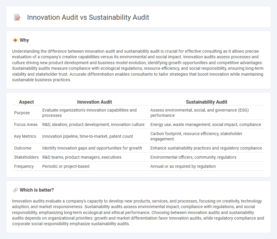 Innovation Audit vs Sustainability Audit in Consulting