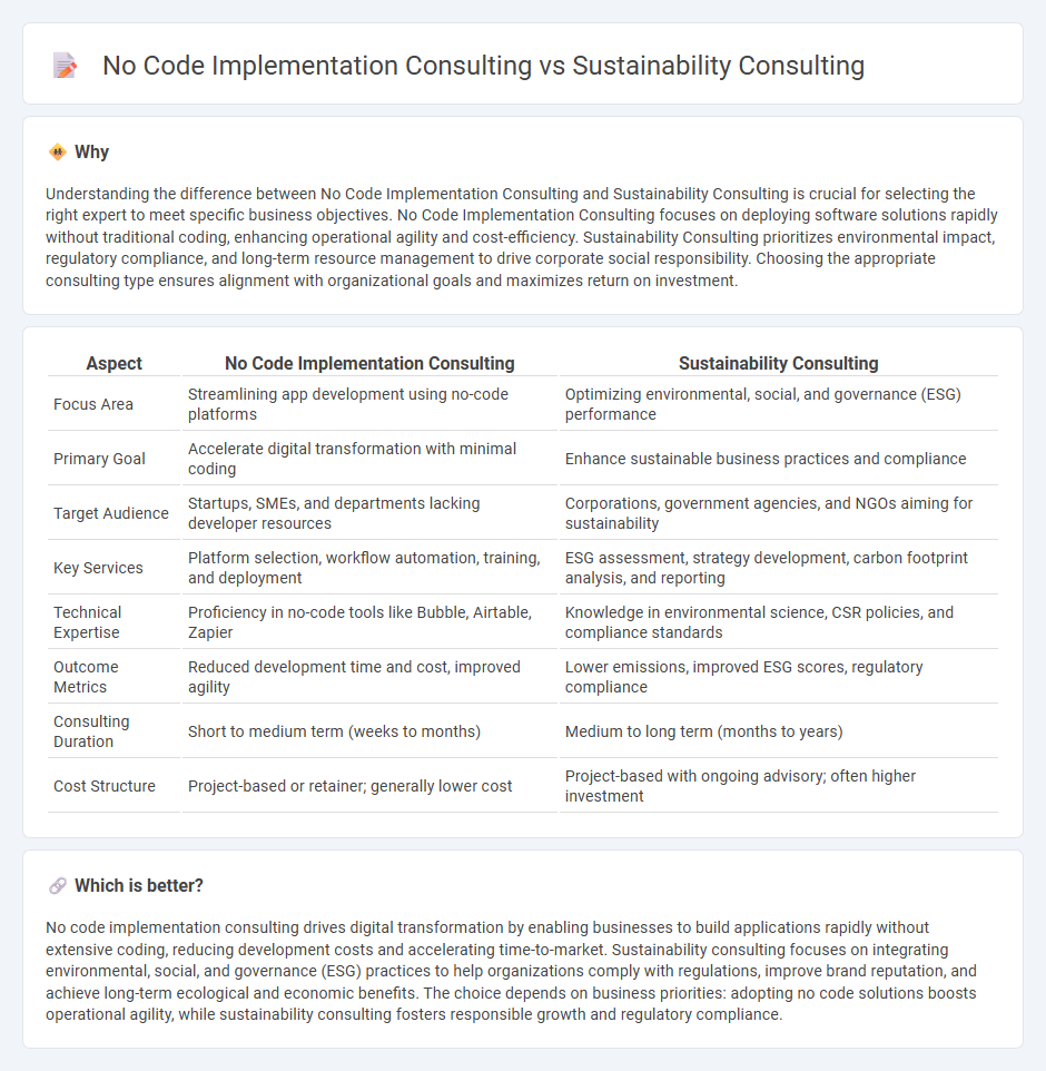 No Code Implementation Consulting vs Sustainability Consulting in Consulting