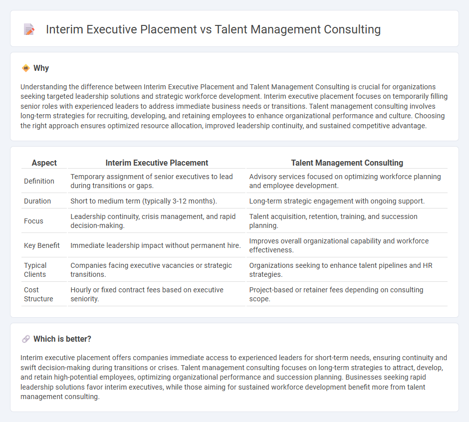 Interim Executive Placement vs Talent Management Consulting in Consulting