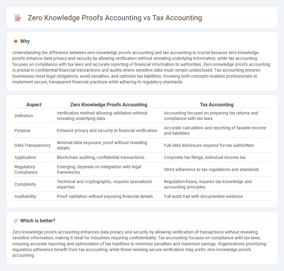 Zero Knowledge Proofs Accounting vs Tax Accounting in Accounting