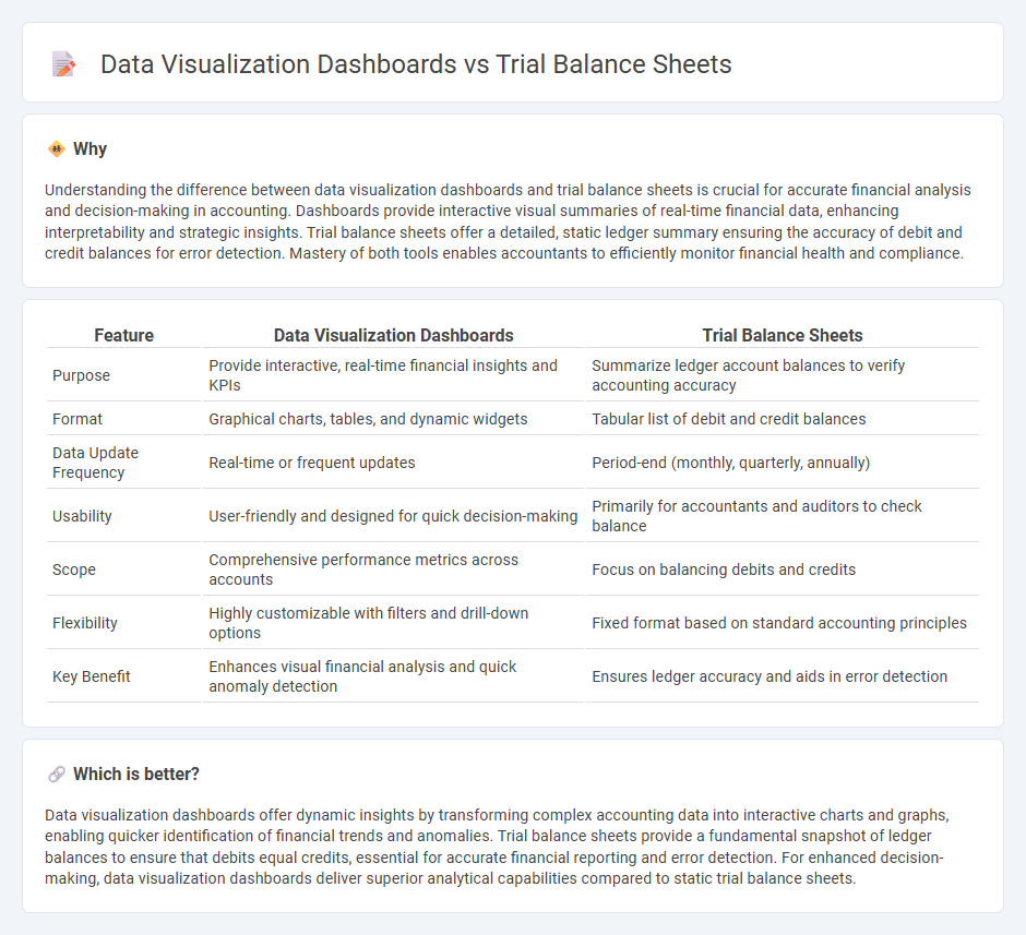 Data Visualization Dashboards vs Trial Balance Sheets in Accounting
